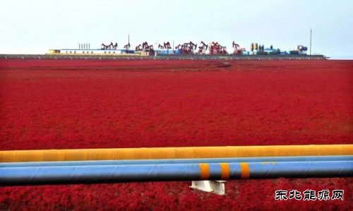 国内石油竟然这么“绿”CQ9电子官网都不知道？