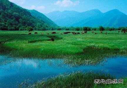 决胜之年，中央政府拿出多少真金白银支持地方治污？