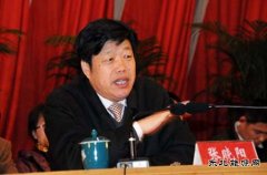 张晓阳：十三五期间 燃料乙醇应由试点转向全面推广