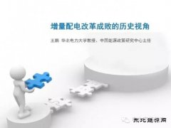 王鹏：配电改革百个试点背后危机四伏