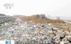 长江口倾倒垃圾污染环境事件：25名犯罪嫌疑人被捕