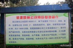 矿工变蔗工：中煤楚源公司拓展农业种植再添优质甘蔗品种