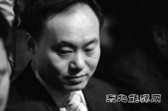 中国光伏“教父”欲华丽回归？