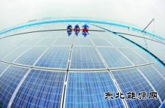 光伏业再迎抢装潮：落后产能死灰复燃 组件一片难求