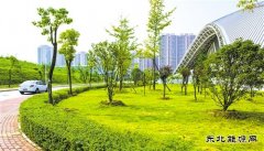 [推动中国]宝武集团：从“绿色制造”到“制造绿色”