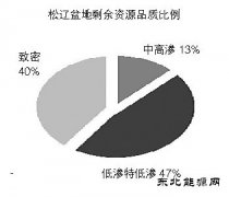 松辽盆地：迈向非常规新时代