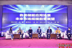 关于2019年中国储能市场走势，听听专家怎么说？