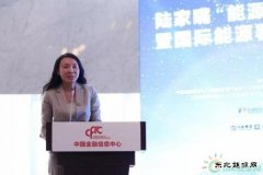 金淑萍：集众智合众力 中国海油创新助力天然气产业健康发展