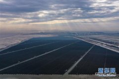 浙江省内最大规：Ｍ抗夥⒌缦钅空酵对