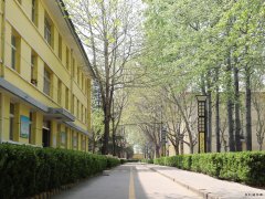 蒲白西固煤业：把“小家碧玉”打扮成“大家闺秀”促煤炭销售