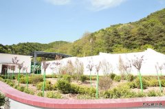 建新煤化：制氮通风搬“新家” 花园风井美如画