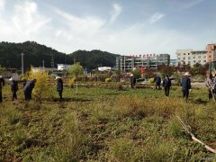 蒲白建庄矿业：开展矿区绿化打造美丽矿山