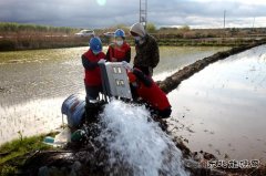 兴凯湖电业公司：电满黑土地 红红火火庆丰收