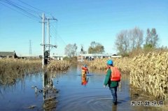 佳木斯供电公司：全力巡检线路设备，柳树岛全面恢复供电