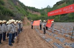 蒲白矿业技校联合党委：“党建+”引领产教融合“跑起来”