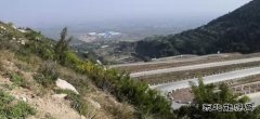 蒲洲热电公司：践行“两山”理论 倡导绿色文化 实现清洁生产
