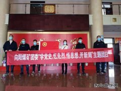 向阳矿团委组织开展“学党史、忆先烈”主题团日活动