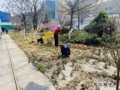 陕煤陕北矿业涌鑫公司：添绿抖尘  矿区处处展“新颜”