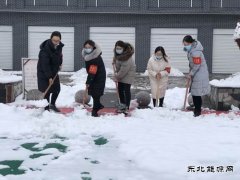 蒲白矿业技校联合党委：党员除雪当先锋 志愿服务打头阵