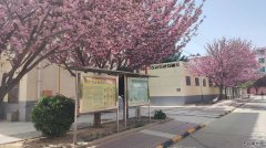 蒲白中心社区：五朵金花并蒂开 各具特色抓服务