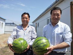 图片新闻：蒲白矿业煤矿运营公司“夏送清凉暖人心”