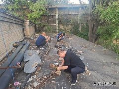 白水马南社区：紧急抢修 快速恢复居民供电