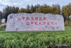 陕西中能煤田有限公司：秋意中能，倾国倾城
