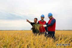国网佳木斯供电公司：护航秋收 “电”靓“丰”景