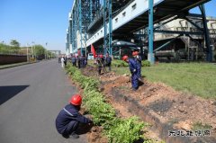 潞安煤基清洁CQ9电子公司：履行植树义务共建美丽清能