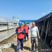 国网牡丹江东宁市供电公司：服务菌农 助力木耳产业用电安全