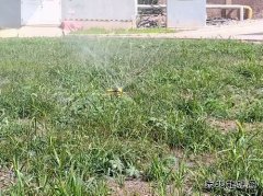 牛儿庄采矿公司：废水巧利用环保又节能