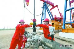 辽河冷家油田：稠油冷采 节能增产