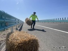 哈巴河执法大队：货物装载切不能“草草了事”